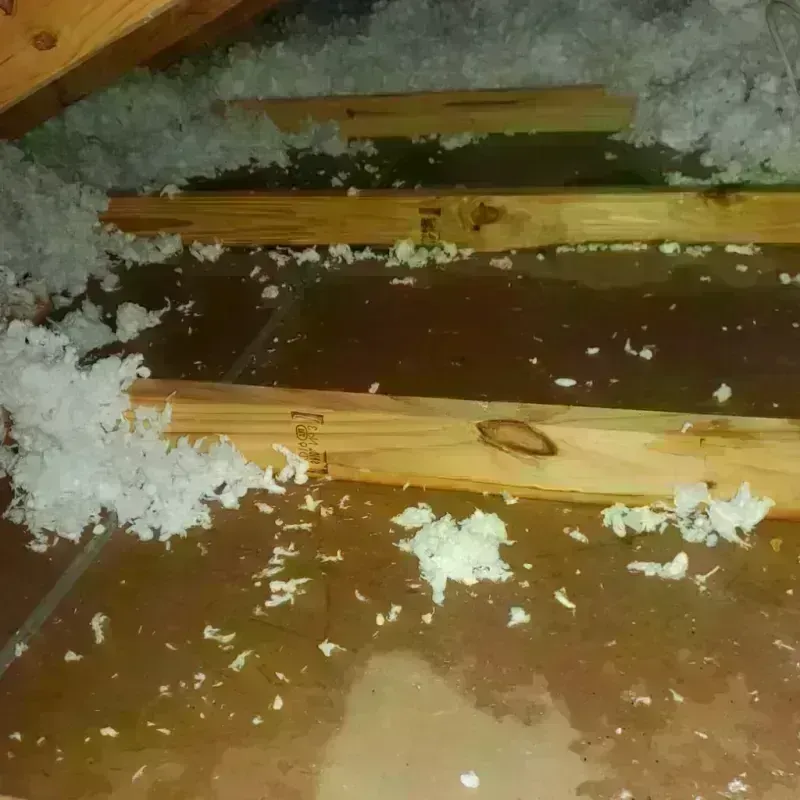 Attic Water Damage in Alma, GA