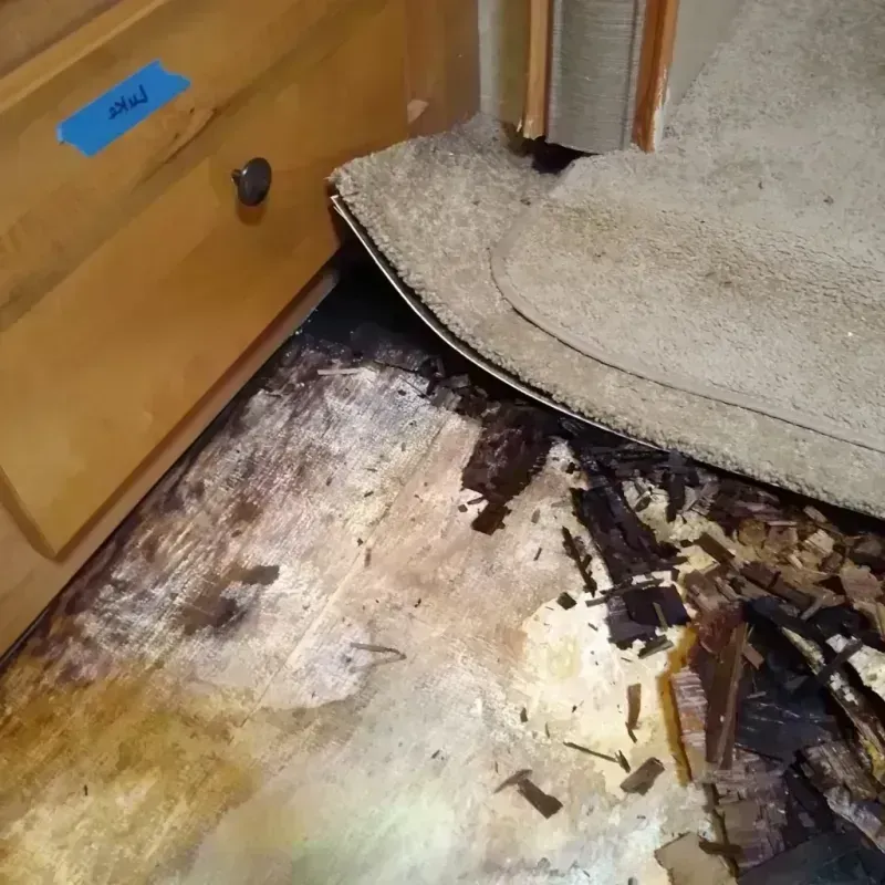 Best Wood Floor Water Damage Service in Alma, GA